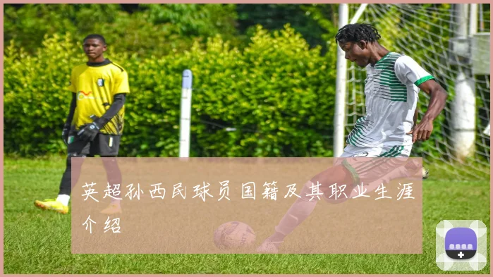 英超孙西民球员国籍及其职业生涯介绍