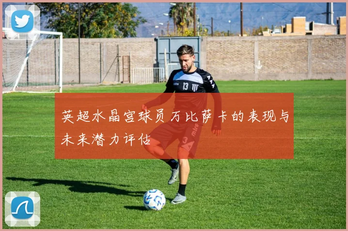 英超水晶宫球员万比萨卡的表现与未来潜力评估